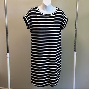 Jigsaw Stripped Knit Dress